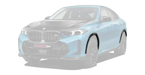 Кованые диски для BMW X6 LCI