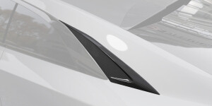 Накладки на заднюю стойку