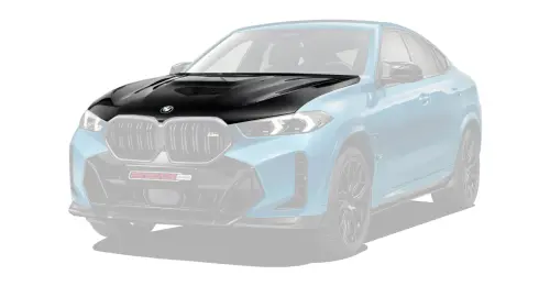 Кованые диски для BMW X6 LCI