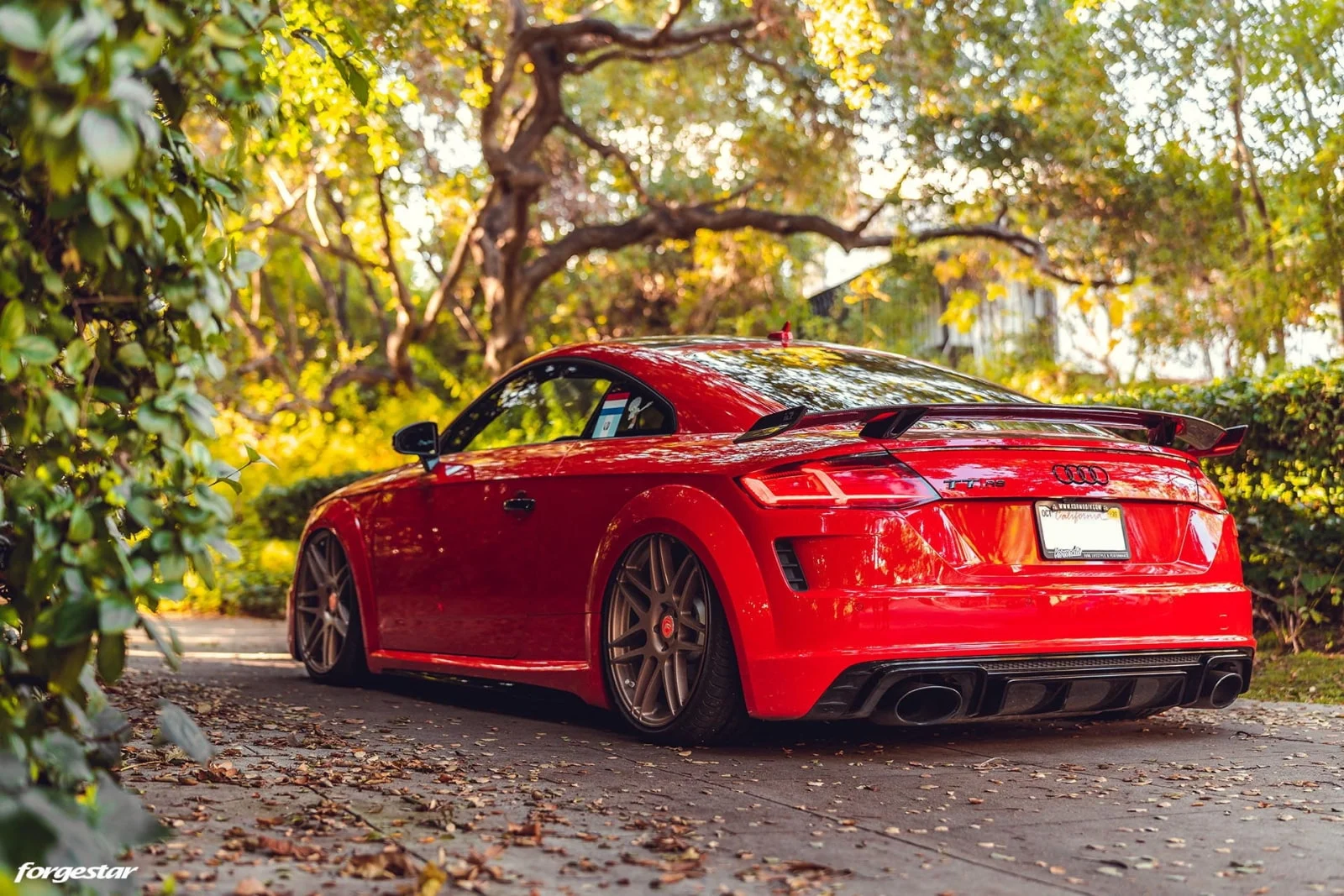 Кованые диски для Audi TT RS