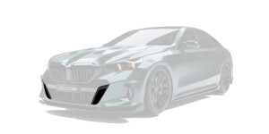 Вставки в передние воздухозаборники