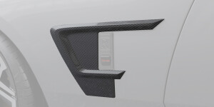 Вставки в крылья