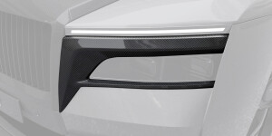 Вставки в передние фары